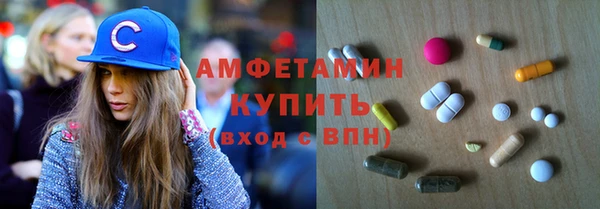 индика Волоколамск