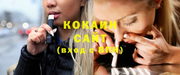 индика Волоколамск