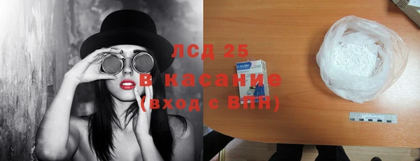 индика Волоколамск