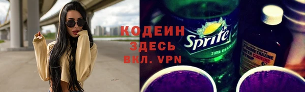 индика Волоколамск