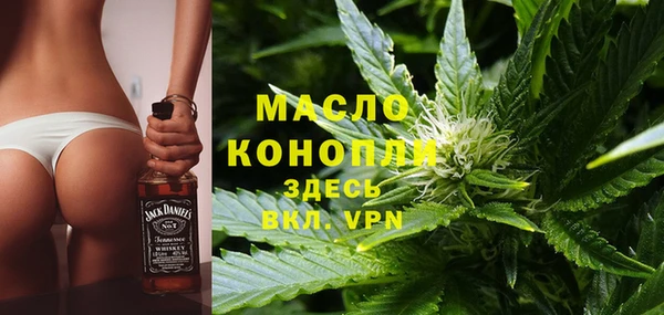 индика Волоколамск