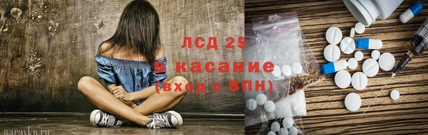 индика Волоколамск