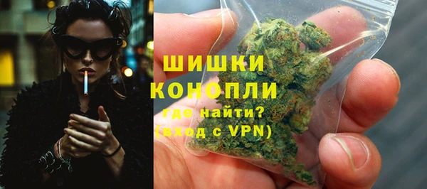 индика Волоколамск